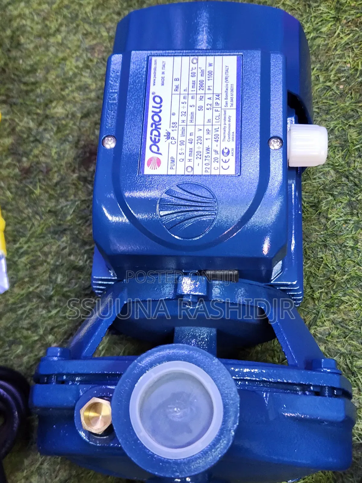 Surface Pump 0.5 HP Pedrollo