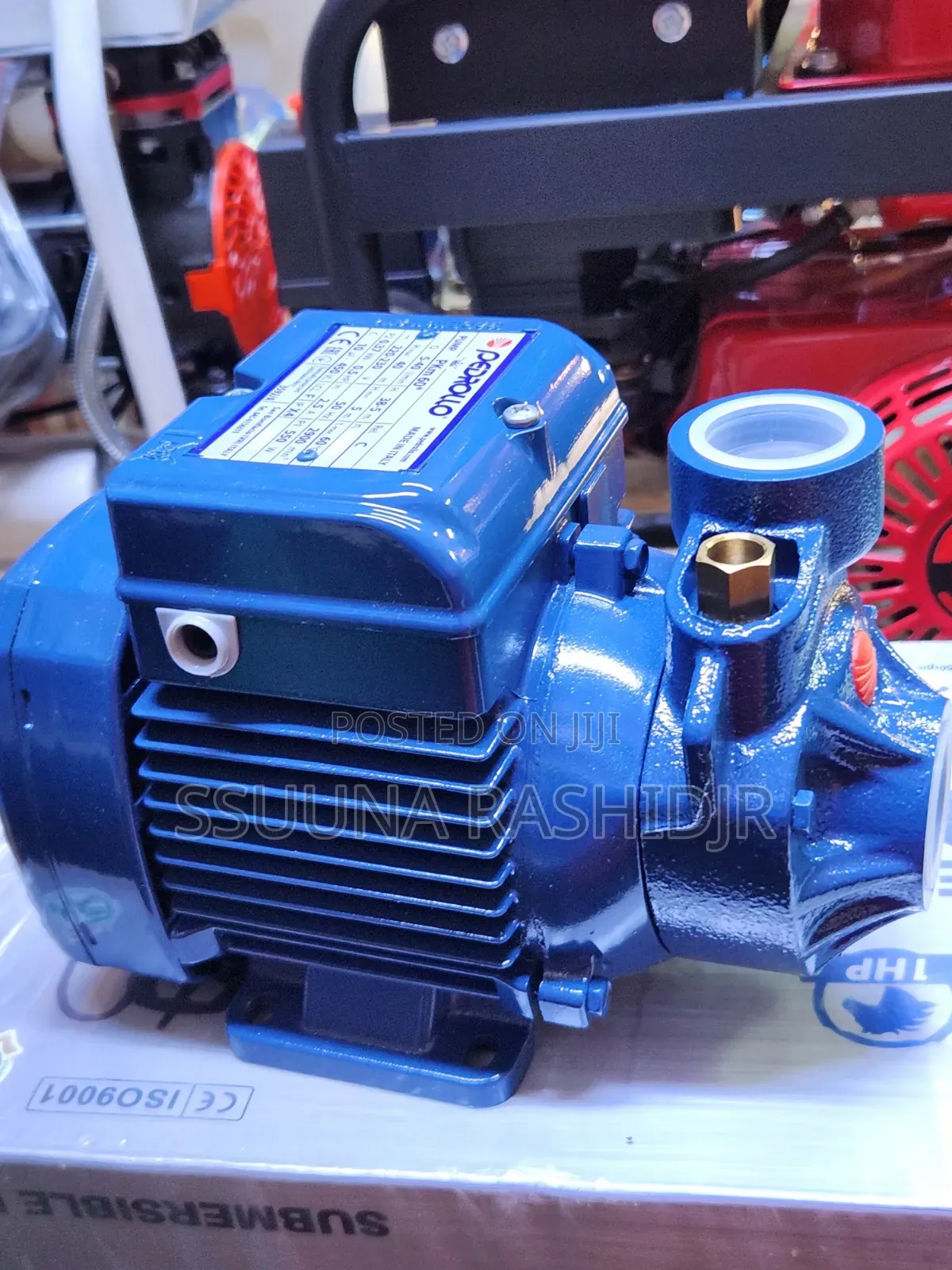 Surface Pump 0.5 HP Pedrollo