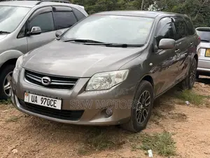 Toyota Corolla Fielder 2010 Gray