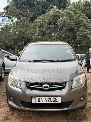 Toyota Corolla Fielder 2010 Gray