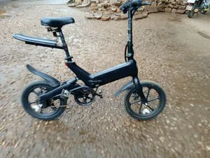 Electric Bike