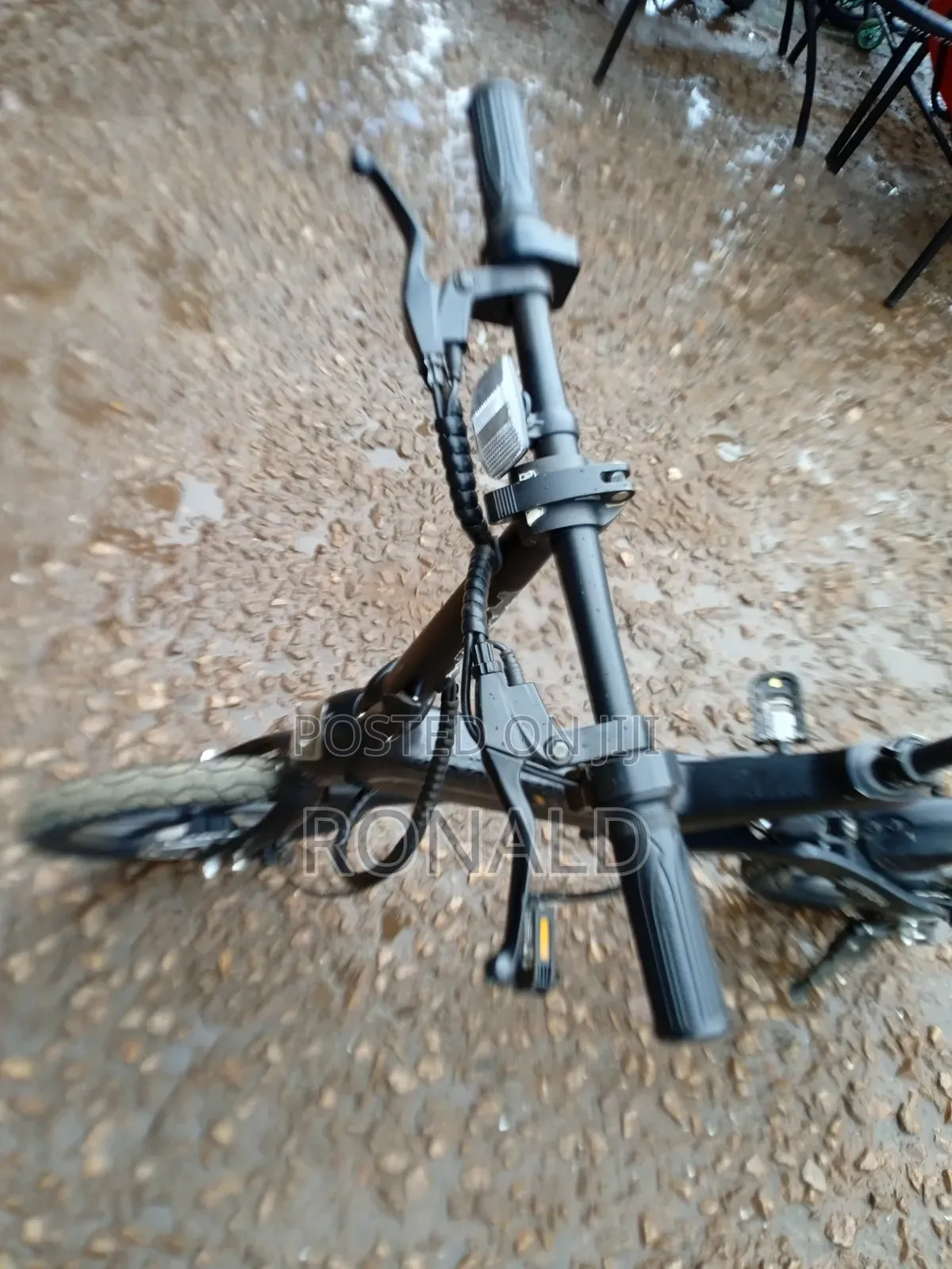 Electric Bike