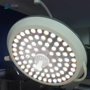 Led Double Head Surgical Shadowless Lamp