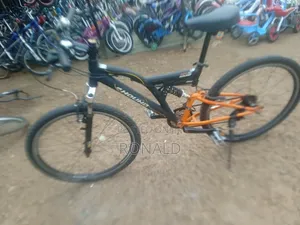 Mountain Bike With Double Suspension