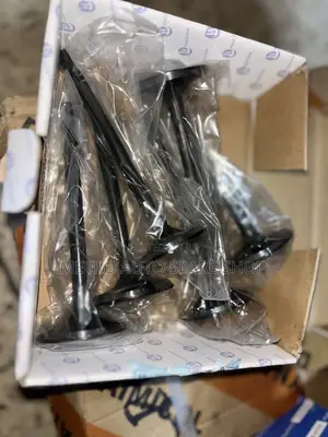 Engine Valves