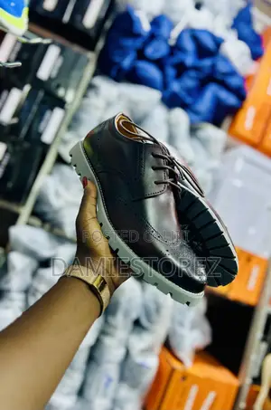 Timbaland Low Shoes