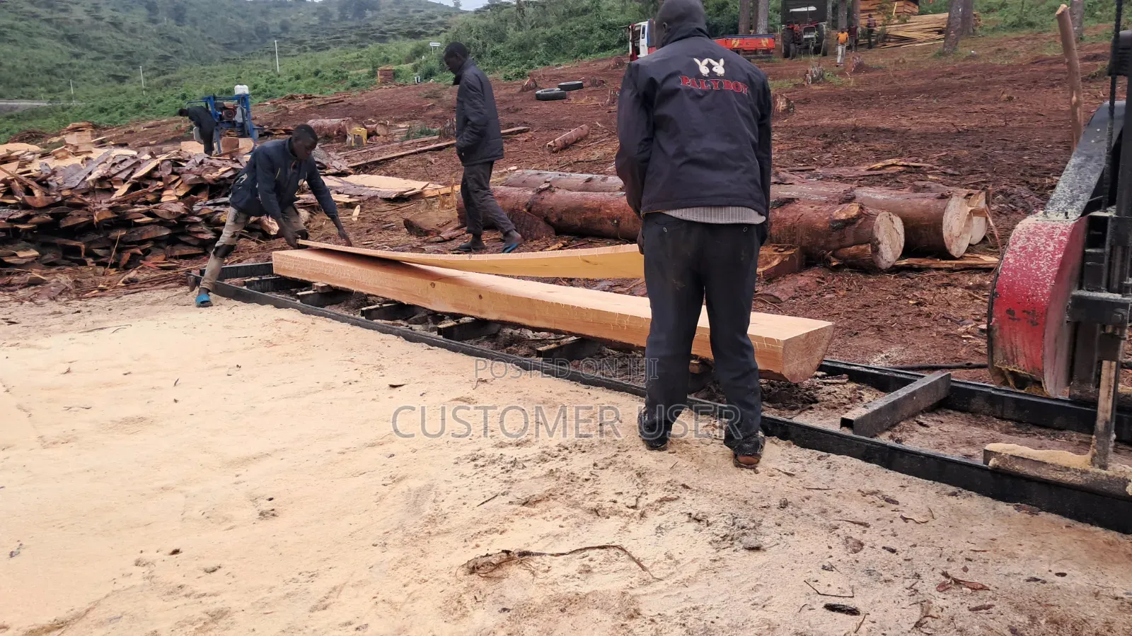 Pine Wood Timber