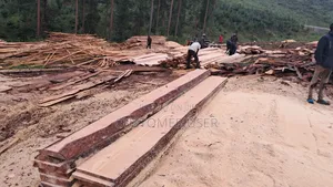 Pine Wood Timber