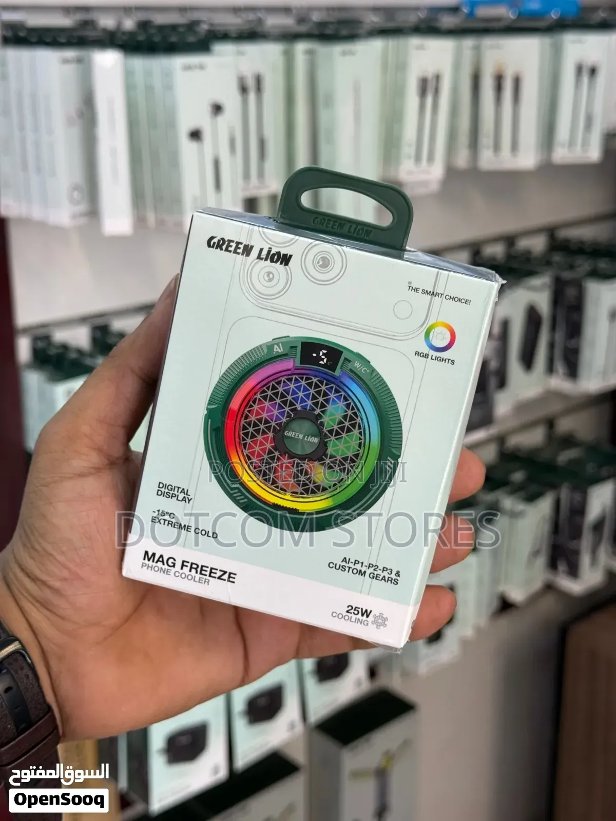 Green Lion Mag Freeze Phone Cooler.