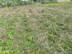 Titled Land for Sell in Matugga Mabanda