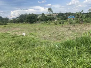 Titled Land for Sell in Matugga Mabanda