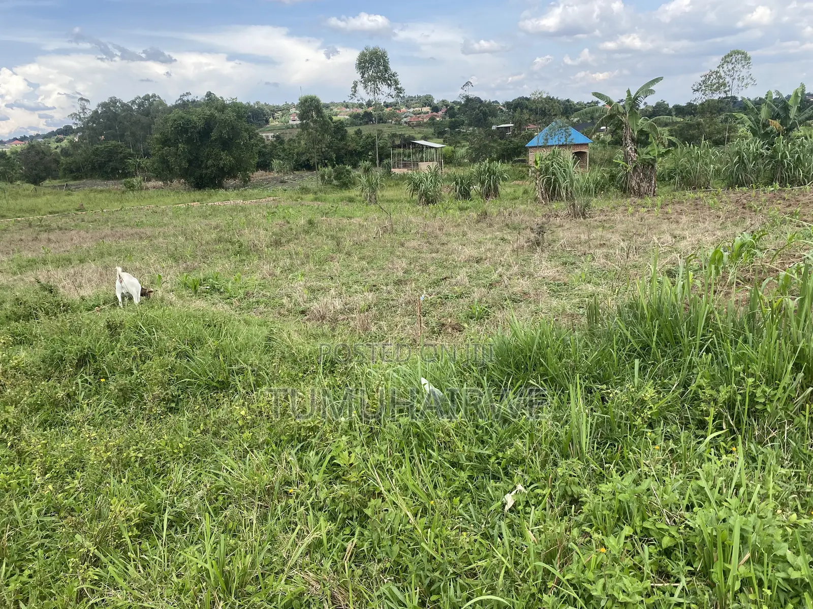 Titled Land for Sell in Matugga Mabanda