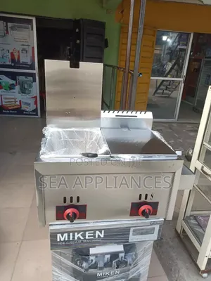 Commercial Gas Deep Fryer