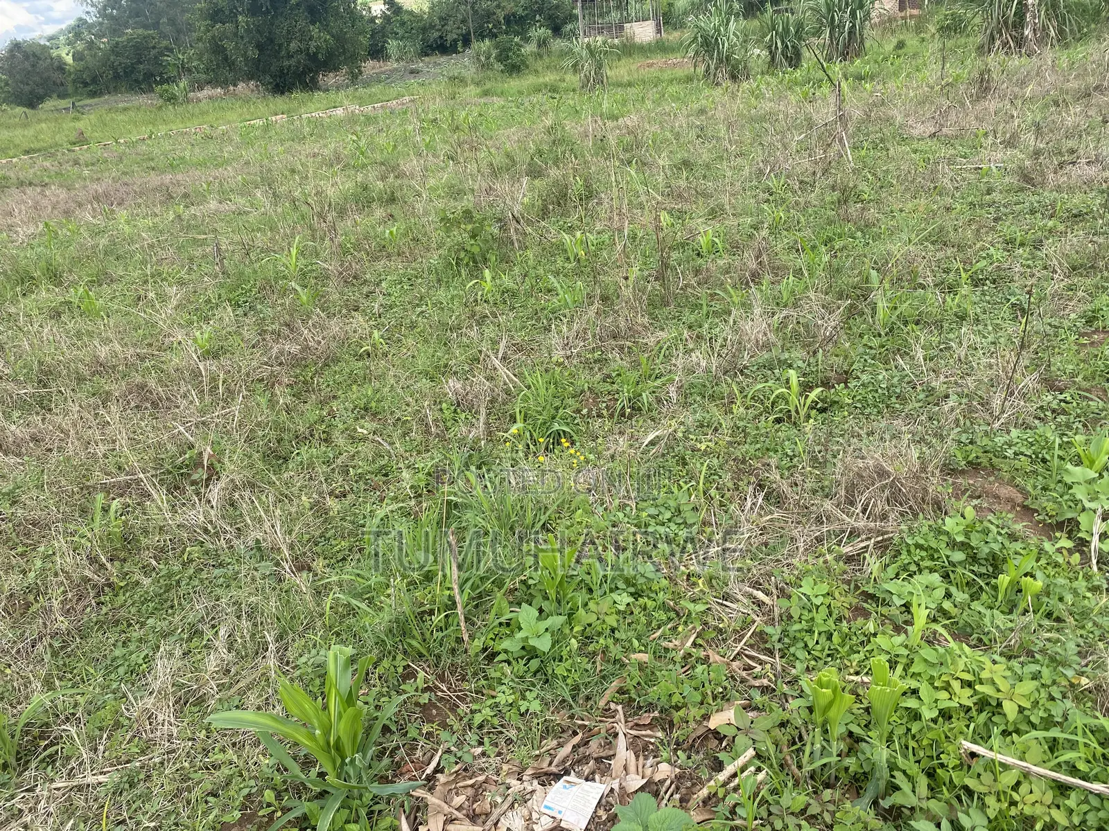 Titled Land for Sell in Matugga Mabanda