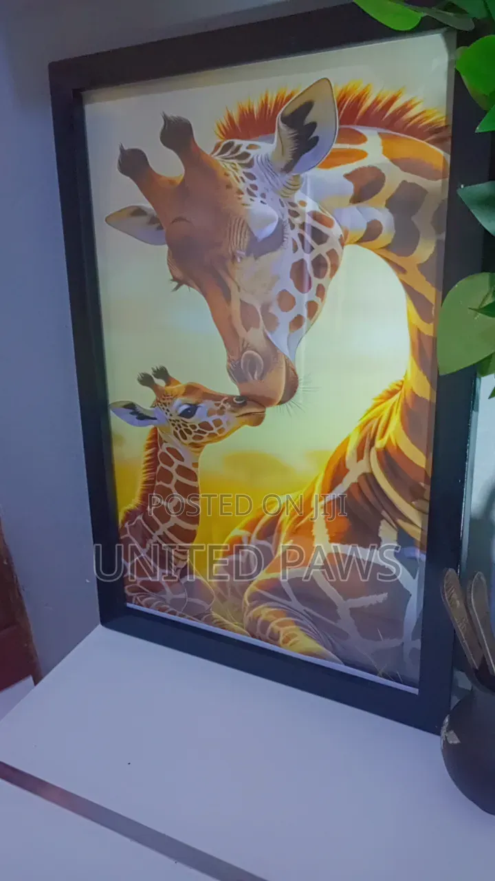 Wall Gallery