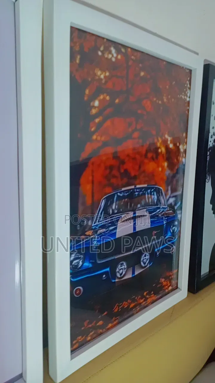 Wall Gallery