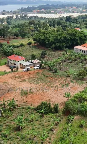 Prime Plots for Sale at Bwerenga~Bugiri Lake View Harmony Land Estate.