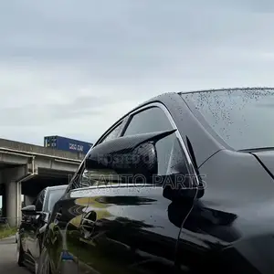 Carbon Fiber Side Mirror Covers for Mark X