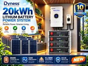 20kwh 48v Dyness Massive Clean Energy Hybrid Lithium Solar System