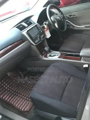 Toyota Premio 2009 Silver