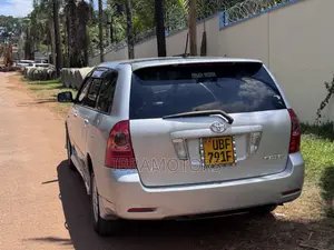 Toyota Corolla Fielder 2005 Silver