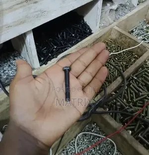Bolts, Nuts, Allen Bolts, Screws