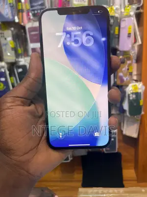 Apple iPhone 12 Pro Max 512 GB Blue