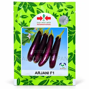 Arjani F1 Eggplant Seeds 5g – Hybrid Purple Eggplant Seeds Uganda