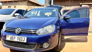 Volkswagen Golf 2011 Blue