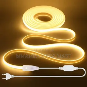 Led Strip Light Smart
