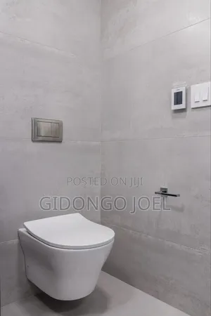 Concealed Toilets
