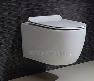 Concealed Toilets