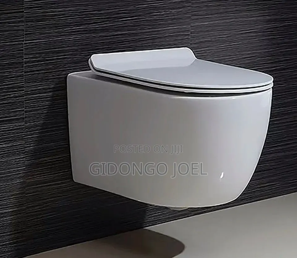 Concealed Toilets