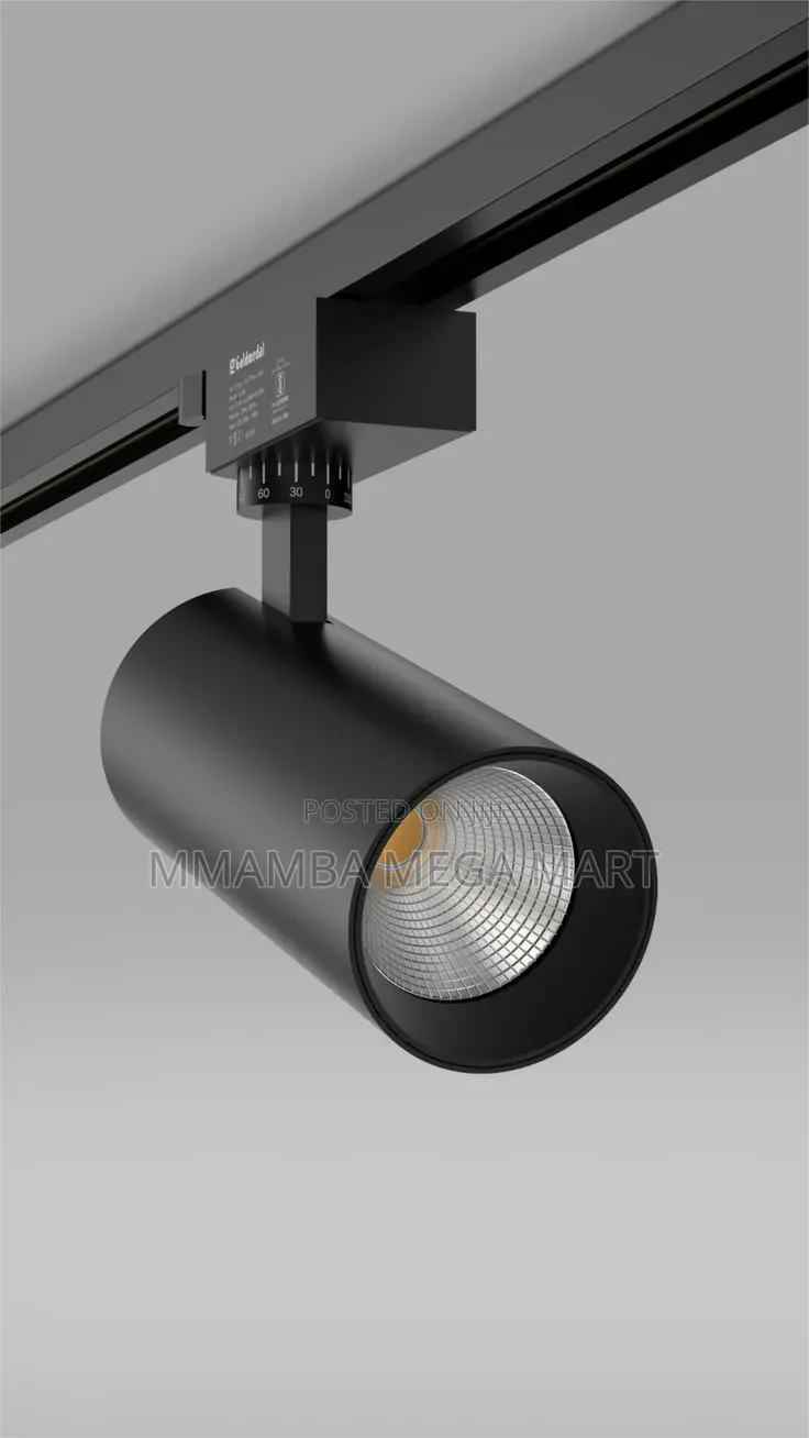 Track Light