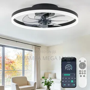 Ceiling Light With Fan