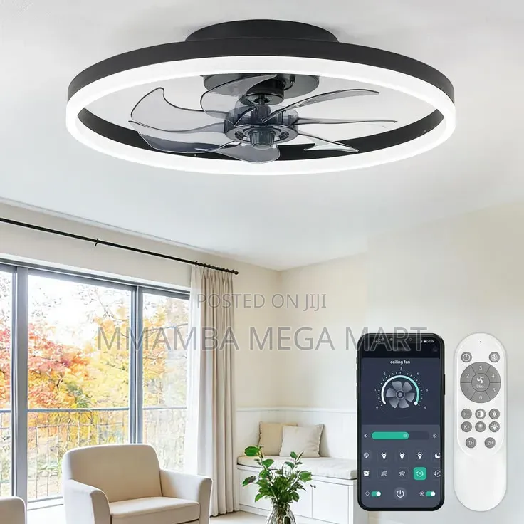 Ceiling Light With Fan