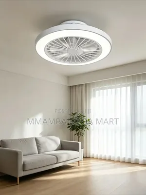 Ceiling Light With Fan