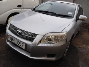 Toyota Corolla Fielder 2009 Gray