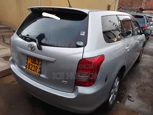 Toyota Corolla Fielder 2009 Gray