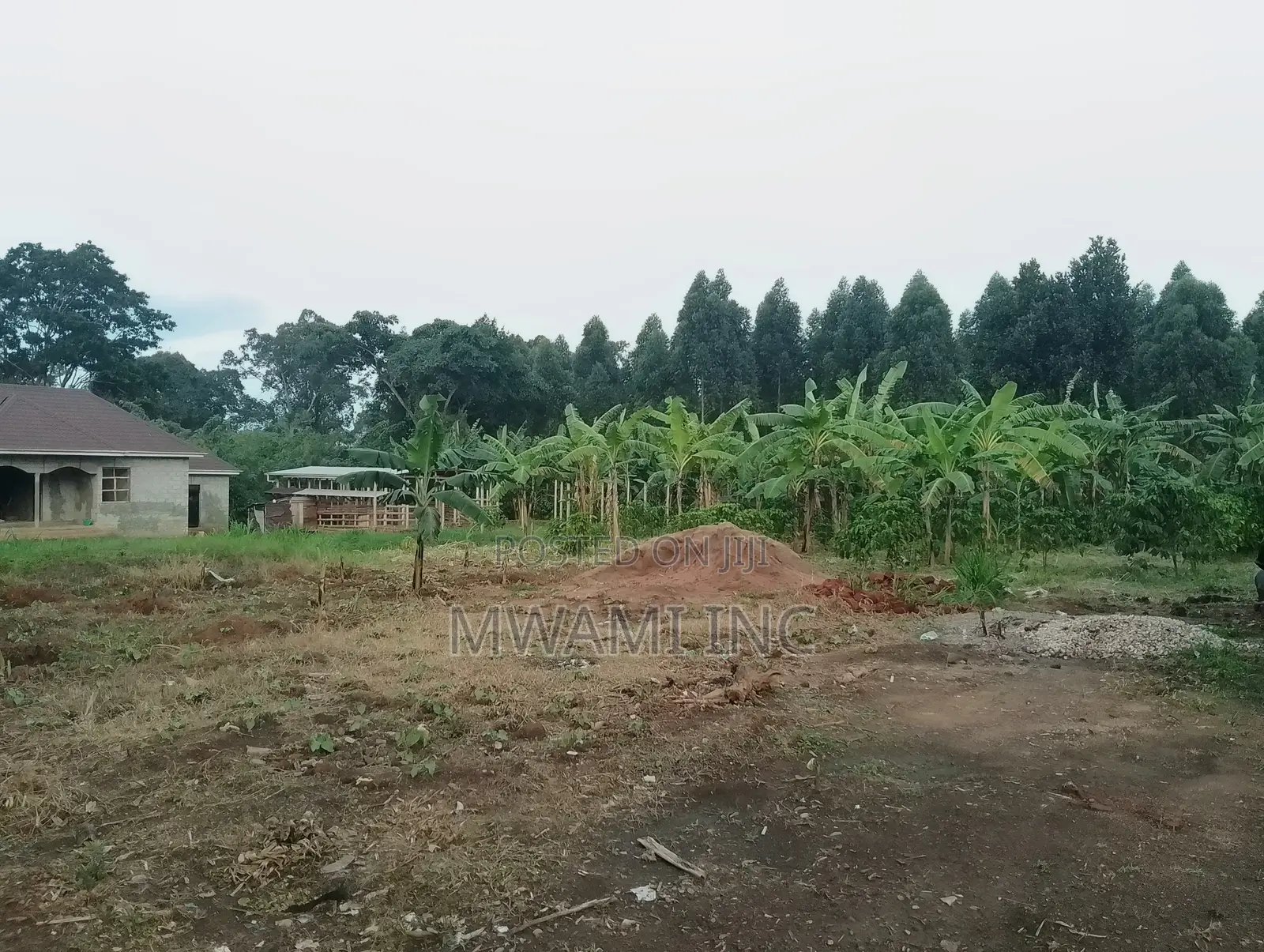 50ft X 100ft Plot in Nsambwe, Seeta/Mukono