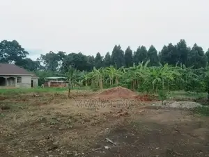 50ft X 100ft Plot in Nsambwe, Seeta/Mukono
