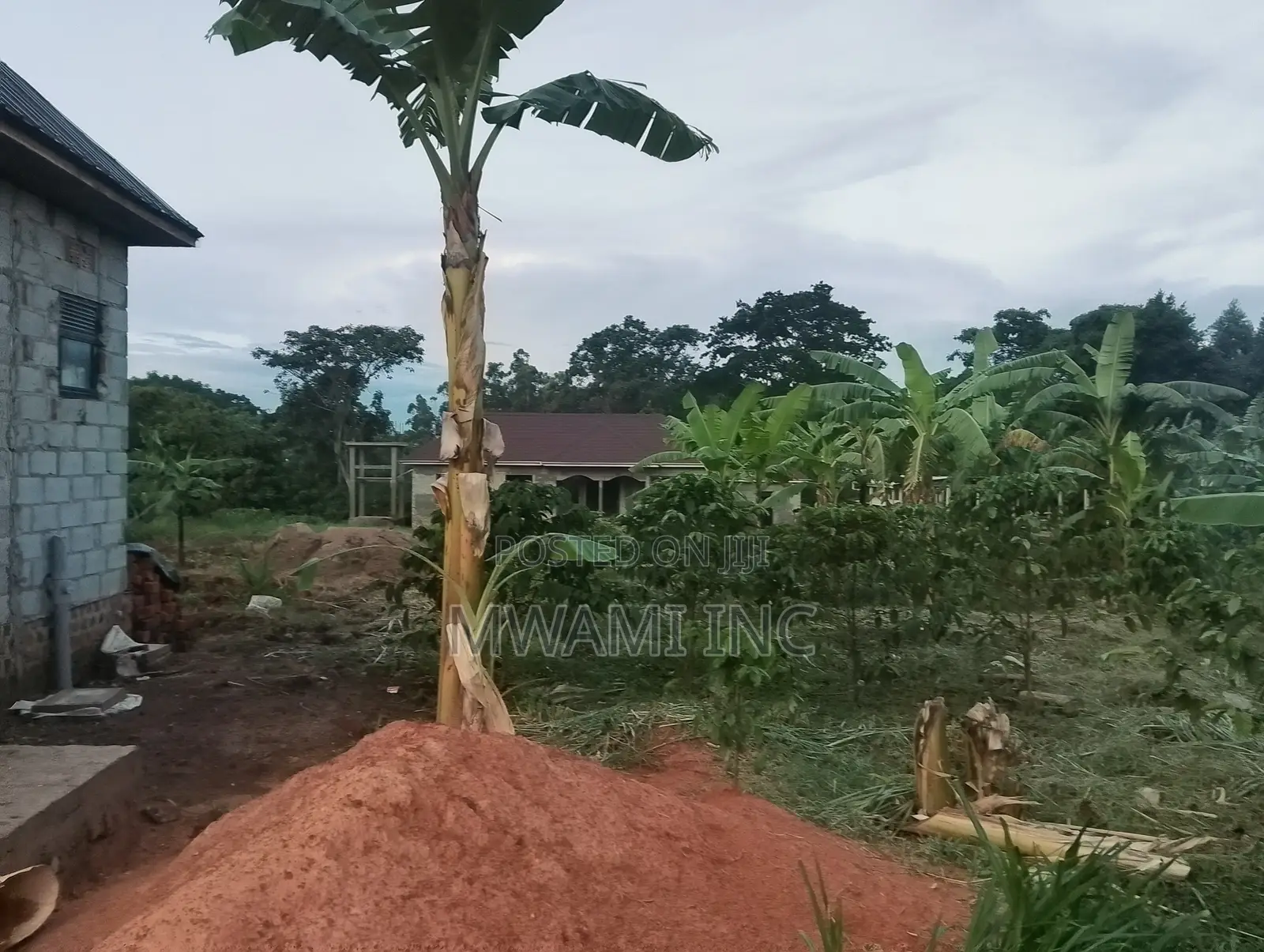 50ft X 100ft Plot in Nsambwe, Seeta/Mukono
