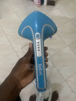 Garment Steamer
