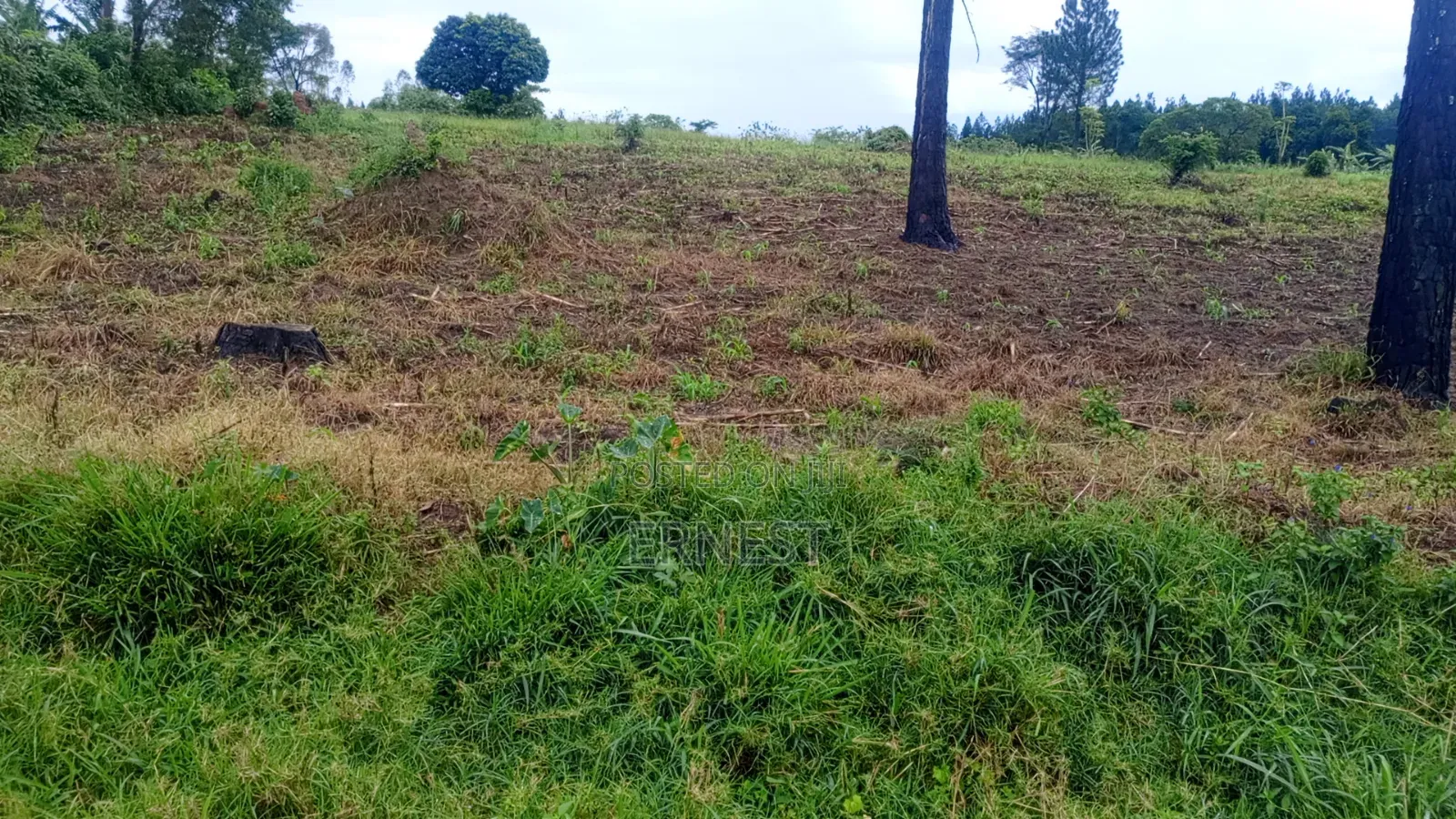 50x100 Titled Plots at Kikonge Mityana Road 3km Off Tarmac