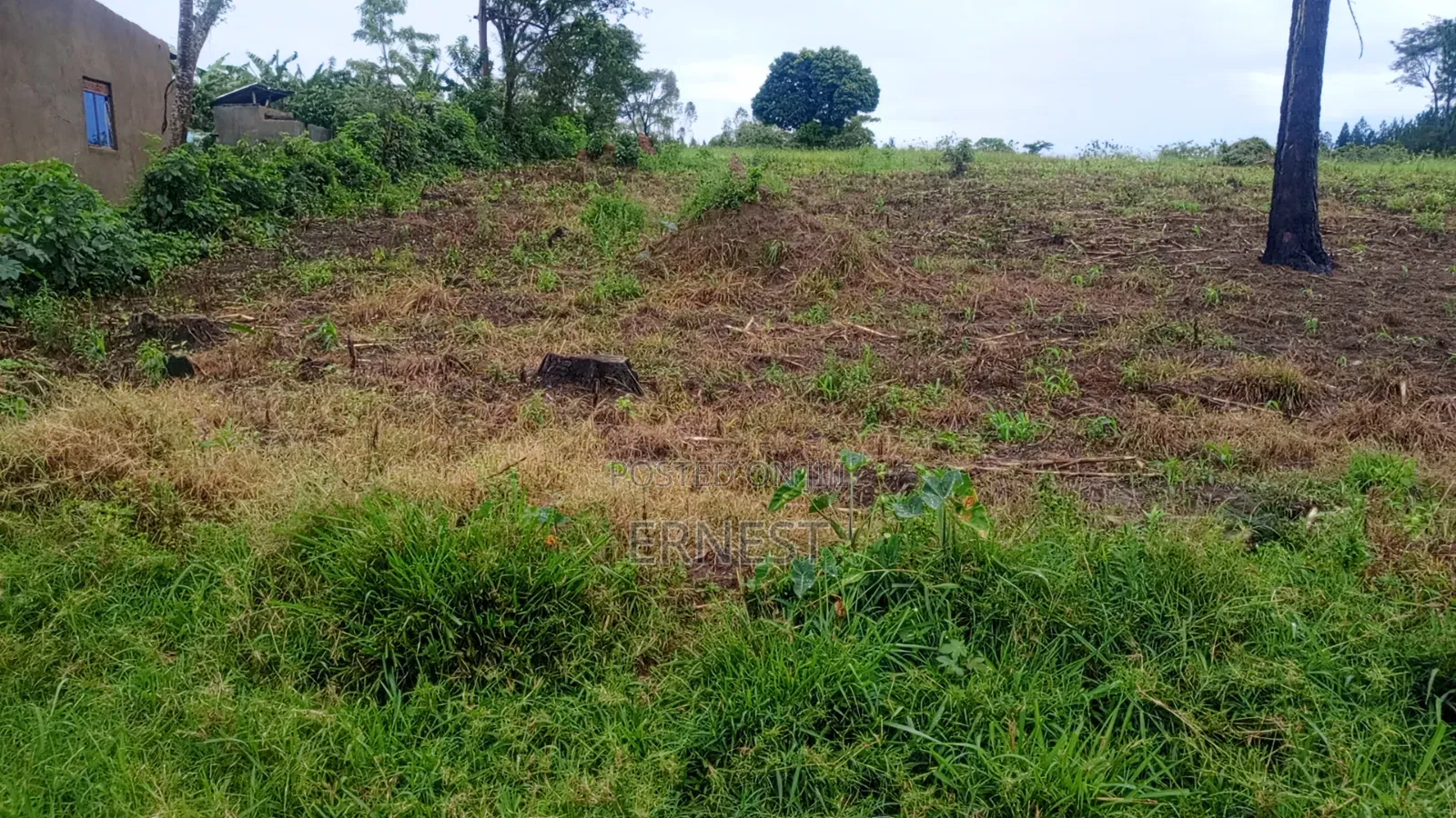 50x100 Titled Plots at Kikonge Mityana Road 3km Off Tarmac