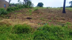 50x100 Titled Plots at Kikonge Mityana Road 3km Off Tarmac