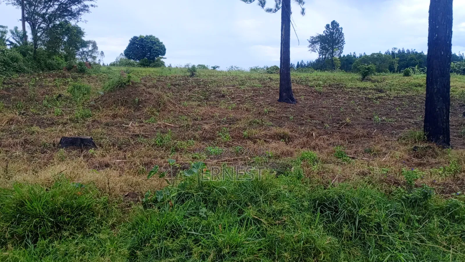 50x100 Titled Plots at Kikonge Mityana Road 3km Off Tarmac