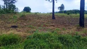 50x100 Titled Plots at Kikonge Mityana Road 3km Off Tarmac