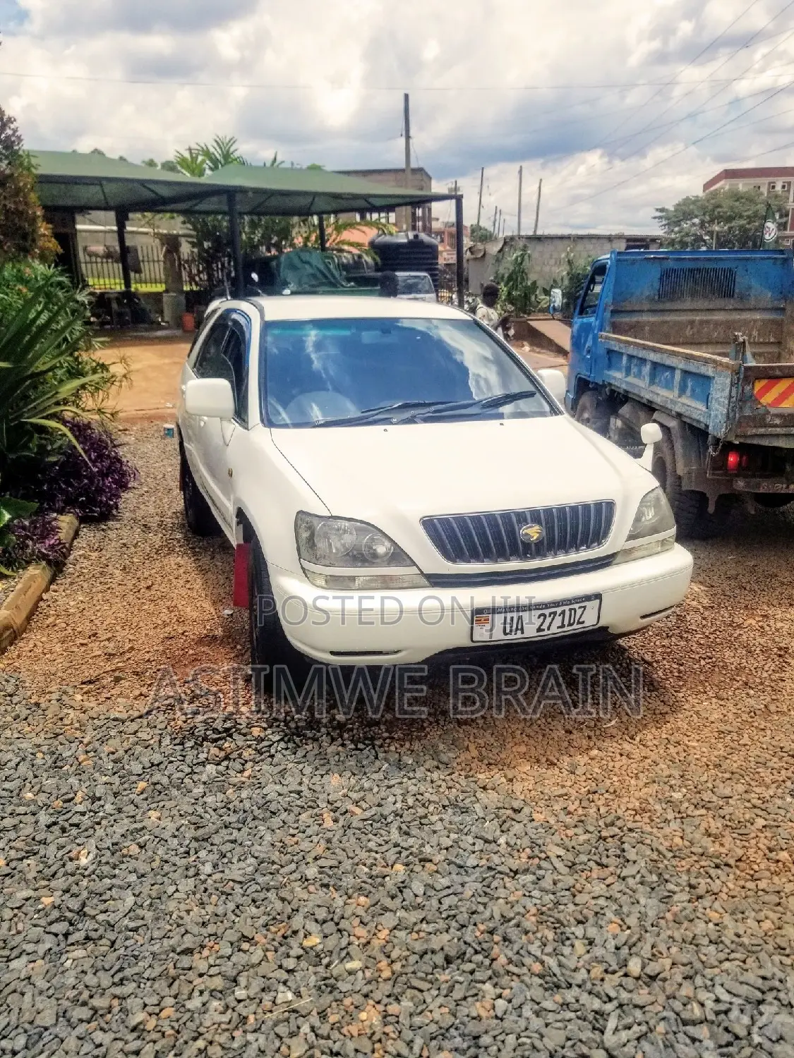Toyota Harrier 3.0 V6 1999 White
