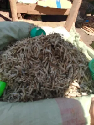 FreshClean Silver Fish That Is Very Healthy to Your Health and Very Ok